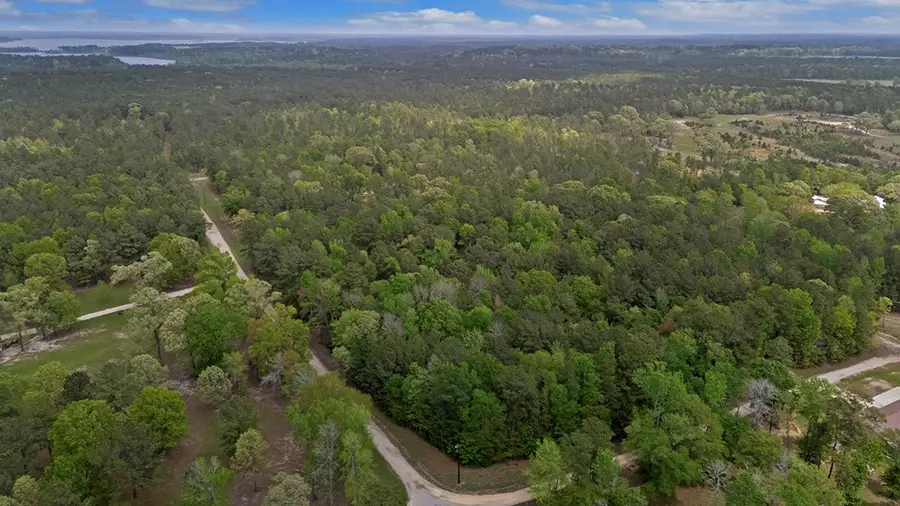 R031284 White Pine Drive, Brookeland, TX 75931 - #2