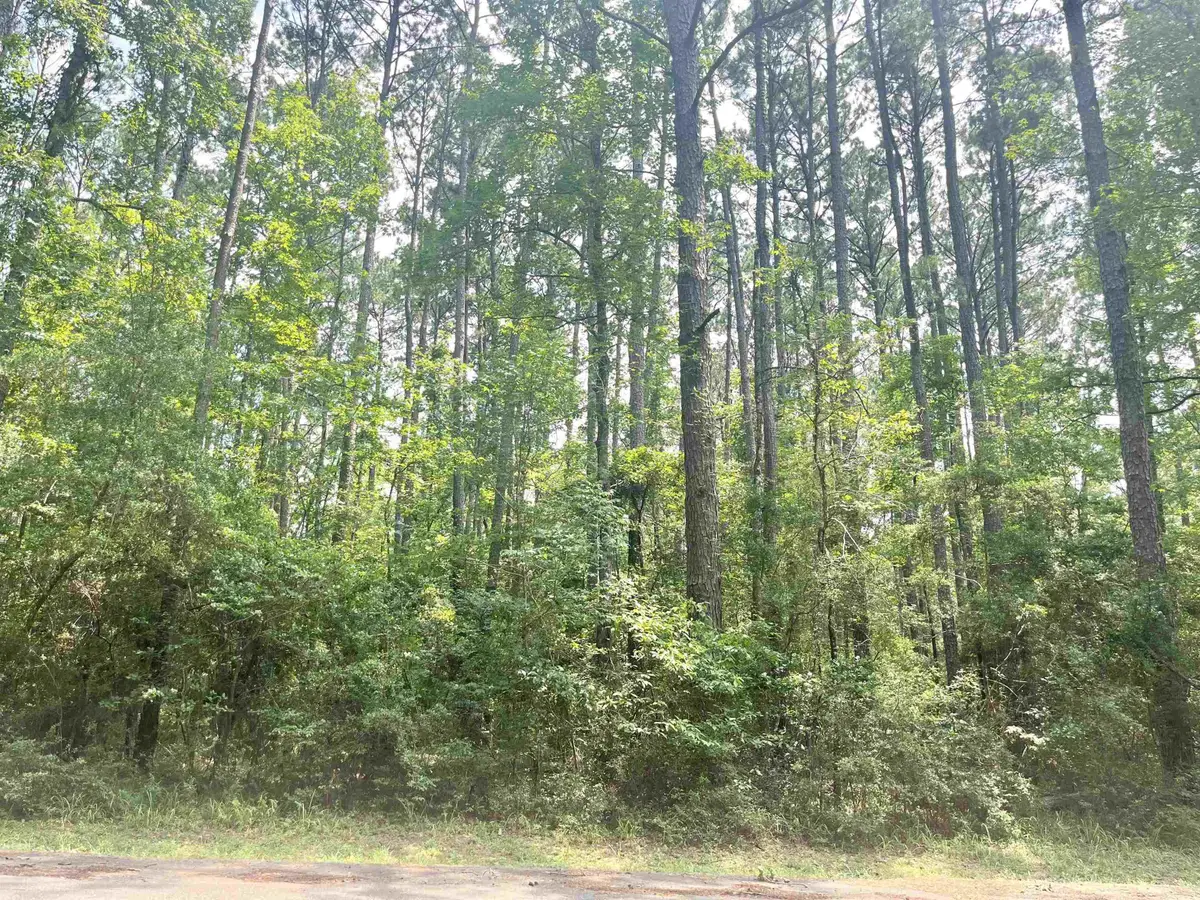 Lot: 532 Starfish Dr., Hemphill, TX 75948 - #1