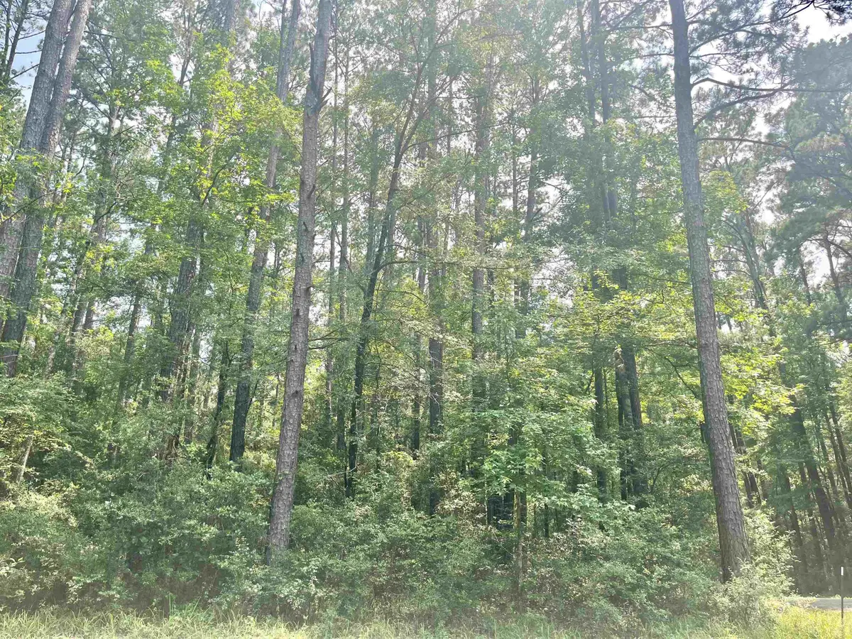 Lot: 533 Starfish Dr., Hemphill, TX 75948 - #1