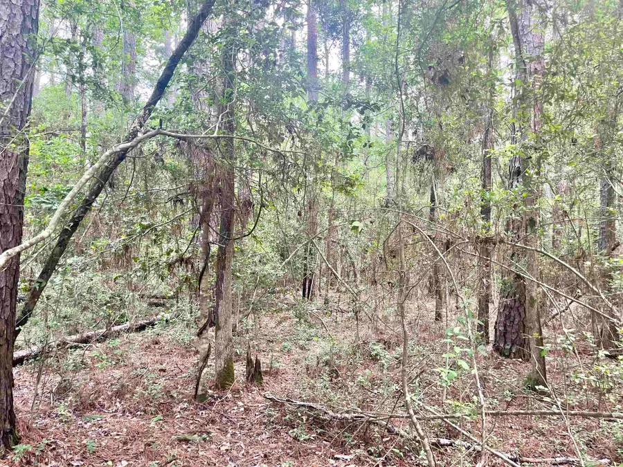 Lot: 533 Starfish Dr., Hemphill, TX 75948 - #3