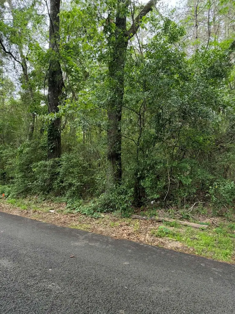 Lot 1 Old Gobblers Knob Rd, Lufkin, TX 75901 - #1