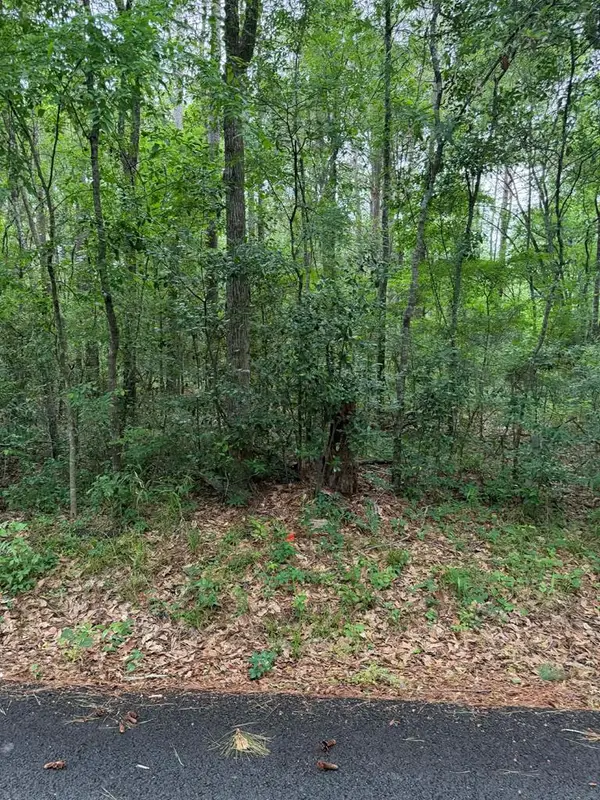Lot 2 Old Gobblers Knob Rd, Lufkin, TX 75901