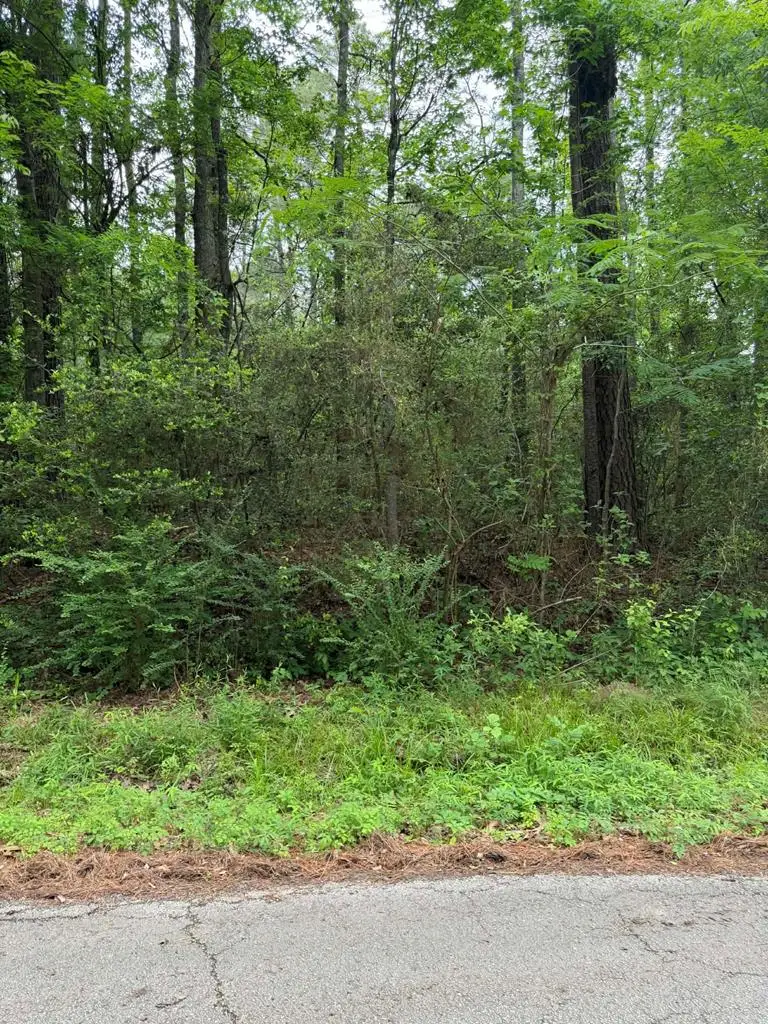 Lot 6 Old Gobblers Knob Rd, Lufkin, TX 75901 - #1