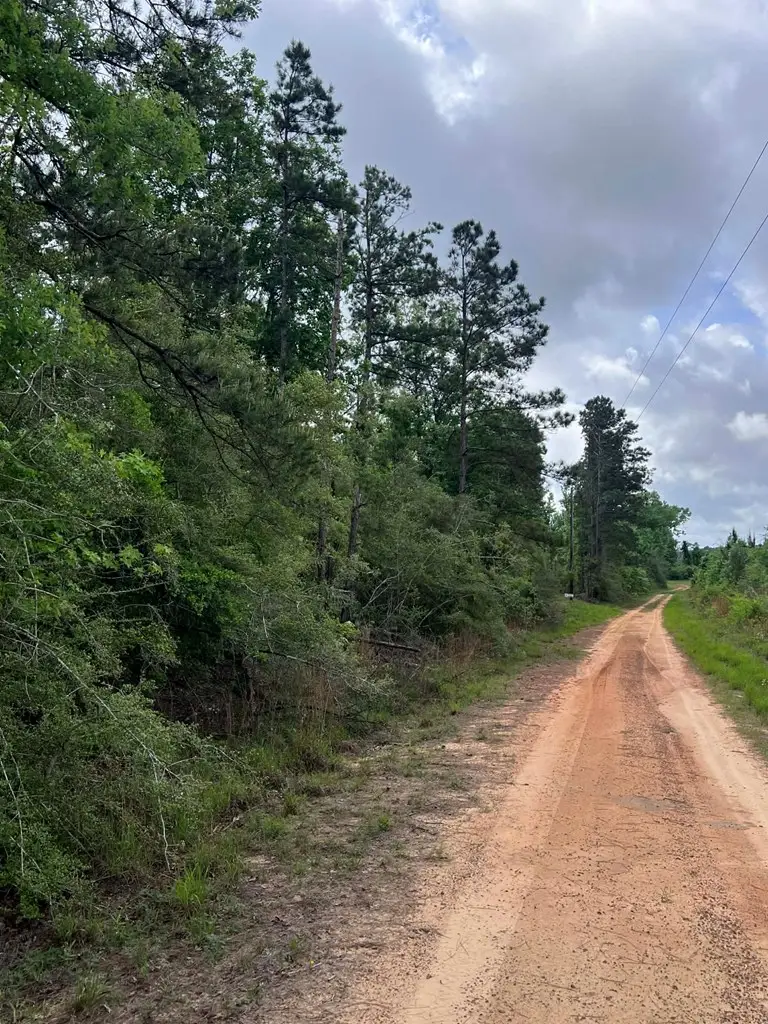 000 County Road 2041, Newton, TX 75966 - #3