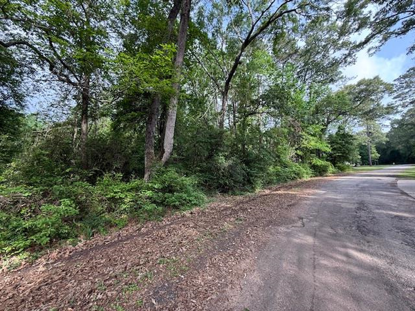 541 (Lot) Lakeshore Drive, Hemphill, TX 75948