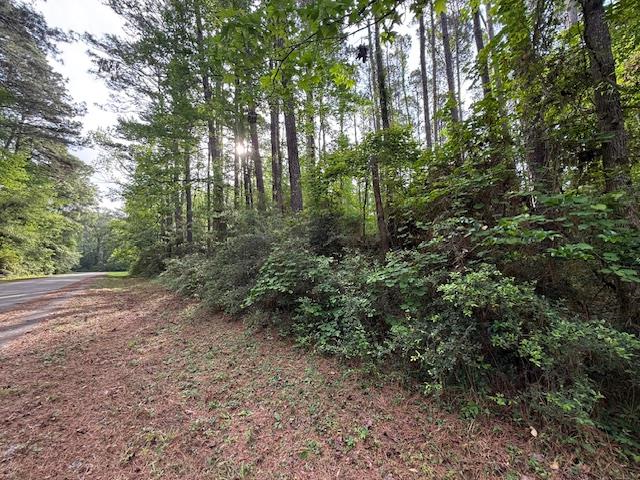 454 (Lot) Commodore Drive, Hemphill, TX 75948 - #1