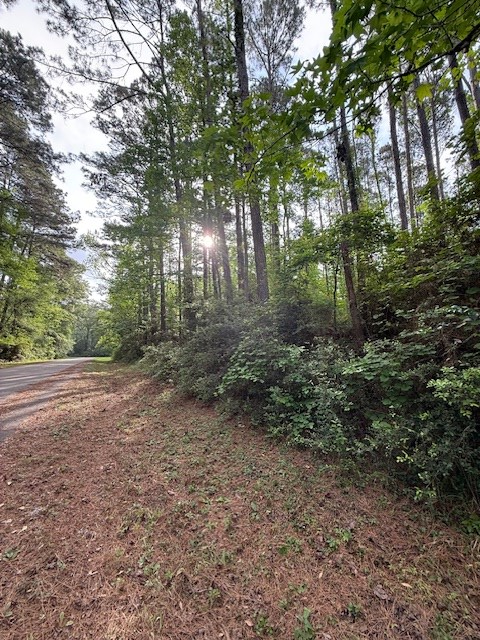454 (Lot) Commodore Drive, Hemphill, TX 75948 - #2