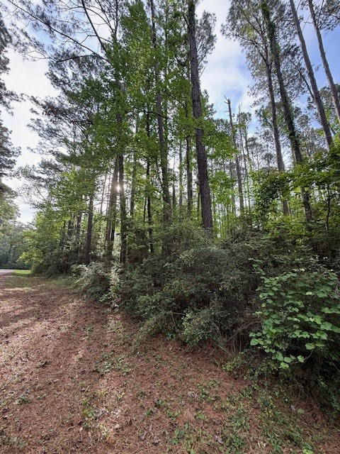 454 (Lot) Commodore Drive, Hemphill, TX 75948 - #3