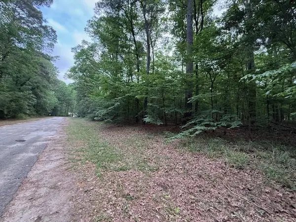 1140 (Lot) Admiral Drive, Hemphill, TX 75948