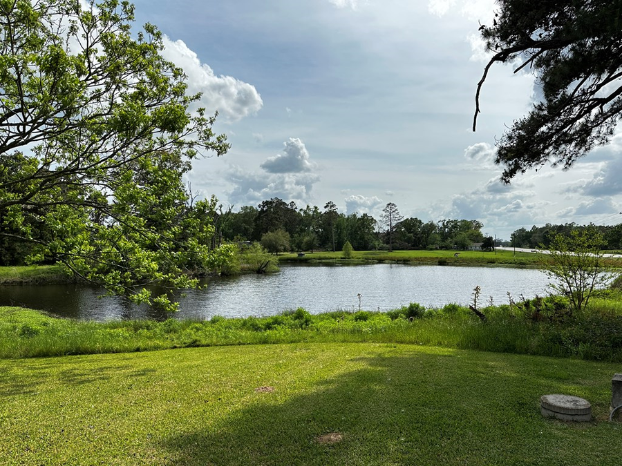 1147 Hwy 59 South, Timpson, TX 75975 - #3