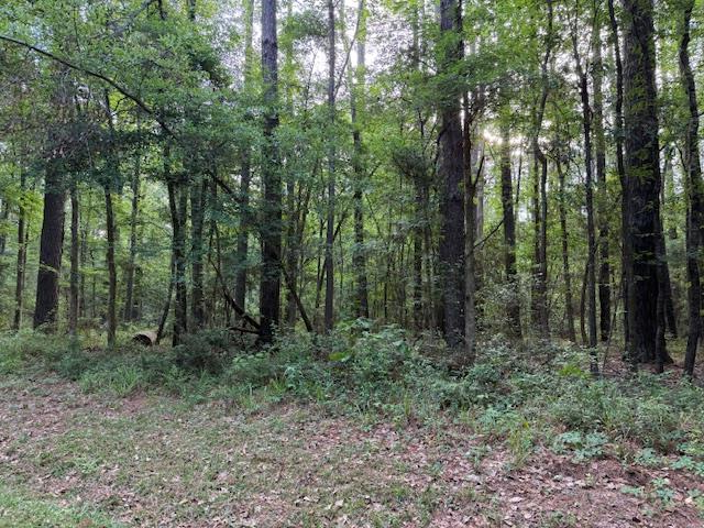 879 (Lot) Admiral Drive, Hemphill, TX 75948 - #1