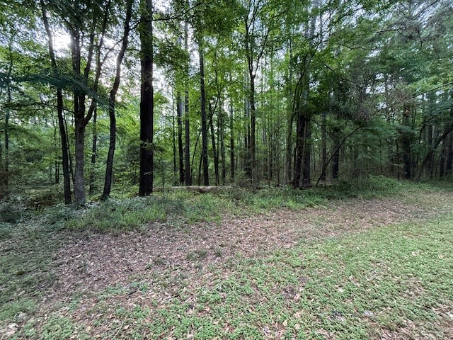 879 (Lot) Admiral Drive, Hemphill, TX 75948 - #2