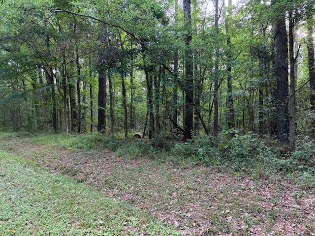 879 (Lot) Admiral Drive, Hemphill, TX 75948 - #3