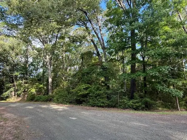 742 (lot) Bowline Drive, Hemphill, TX 75948