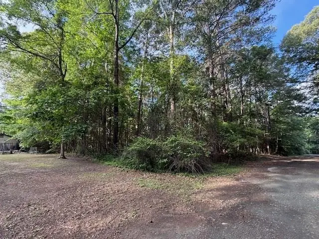 742 (lot) Bowline Drive, Hemphill, TX 75948 - #3