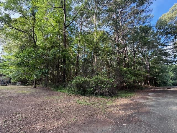735 (lot) Bowline Drive, Hemphill, TX 75948