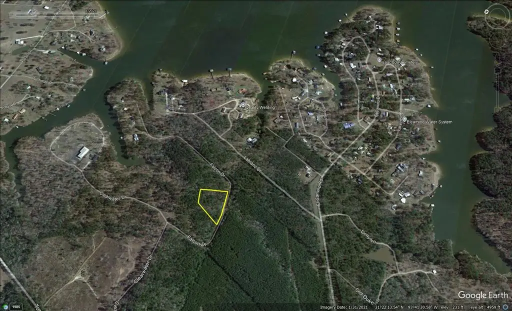 315 Falcon, Hemphill, TX 75948 - #1