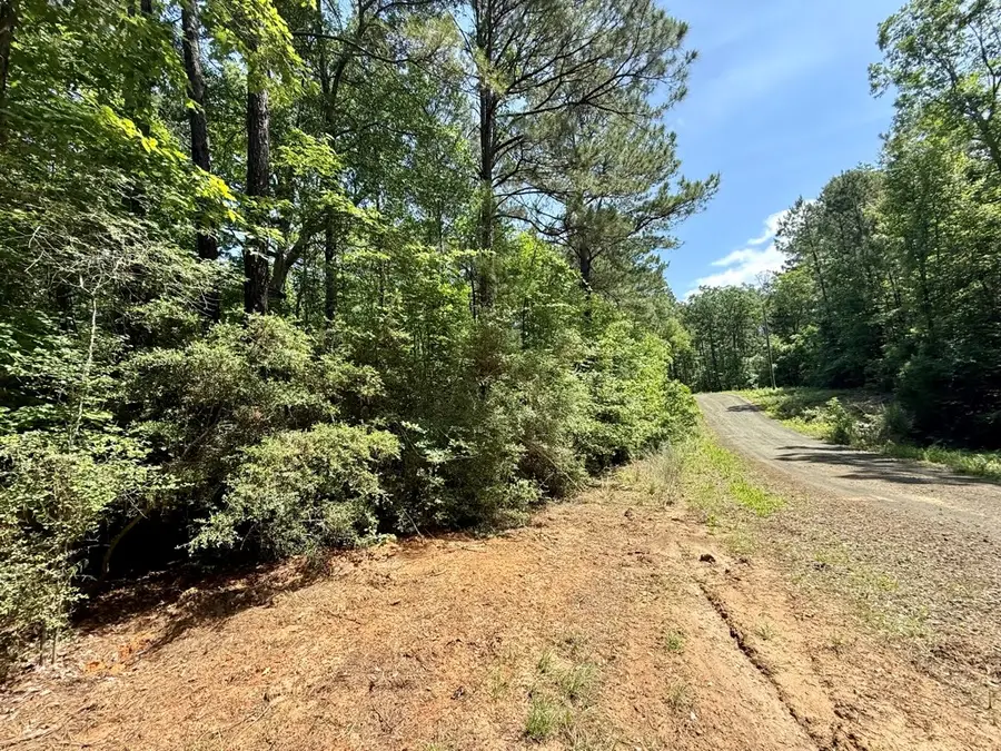 315 Falcon, Hemphill, TX 75948 - #3