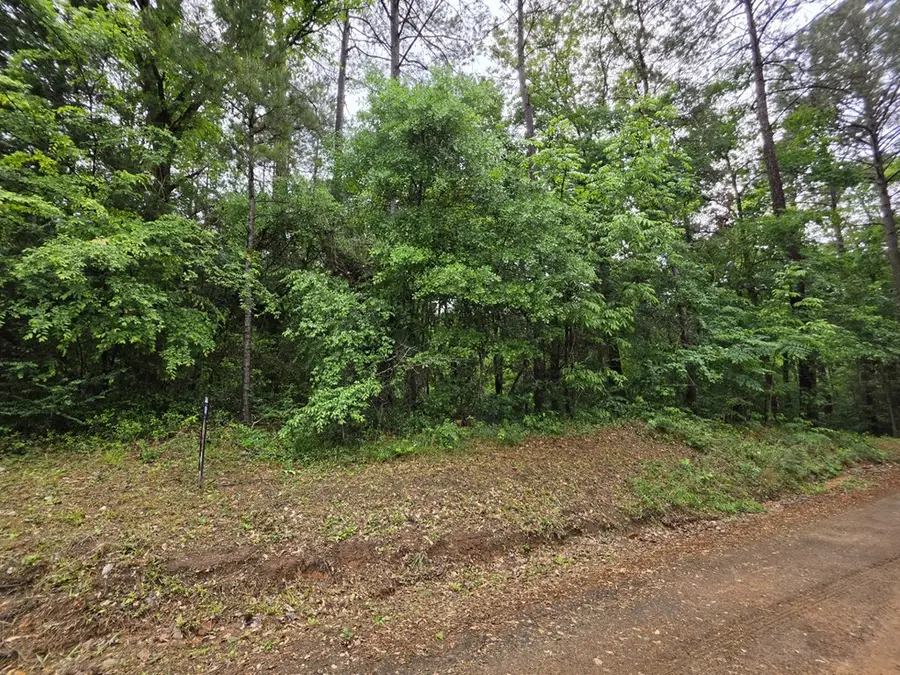 AB 399 C Cr 405, San Augustine, TX 75972 - #3