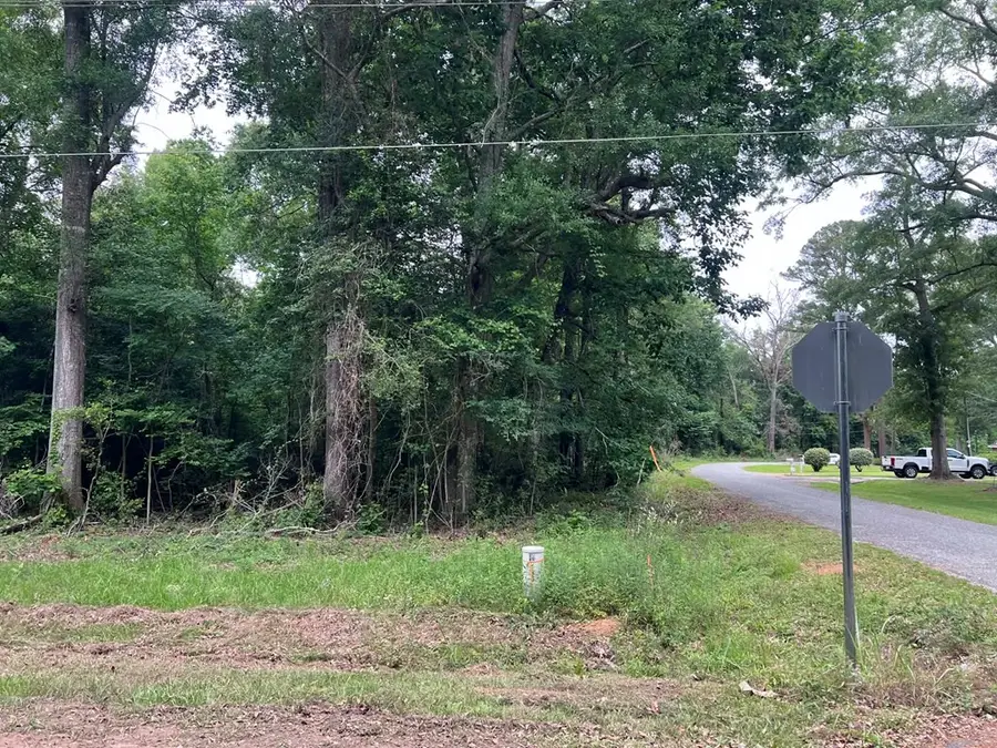1993 Oak Grove Road, Jasper, TX 75951 - #3