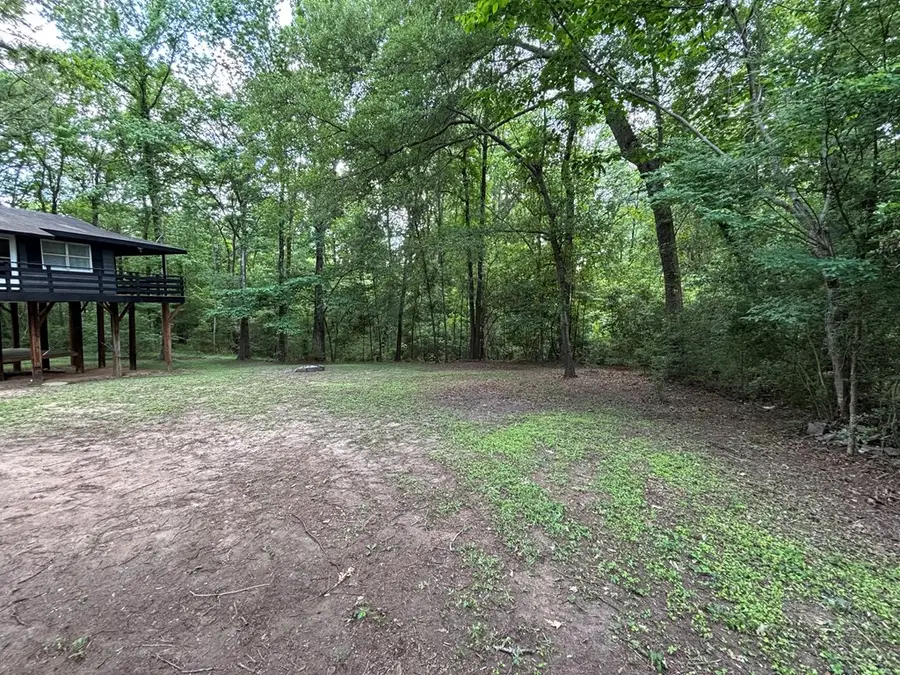 462 Forest Drive, Hemphill, TX 75948 - #3