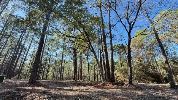 4546 Spruce Lane, Brookeland, TX 75931