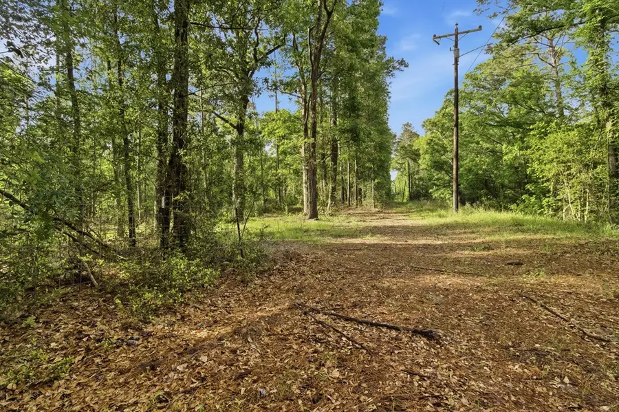 TBD Golf Course Road, Lufkin, TX 75901 - #3