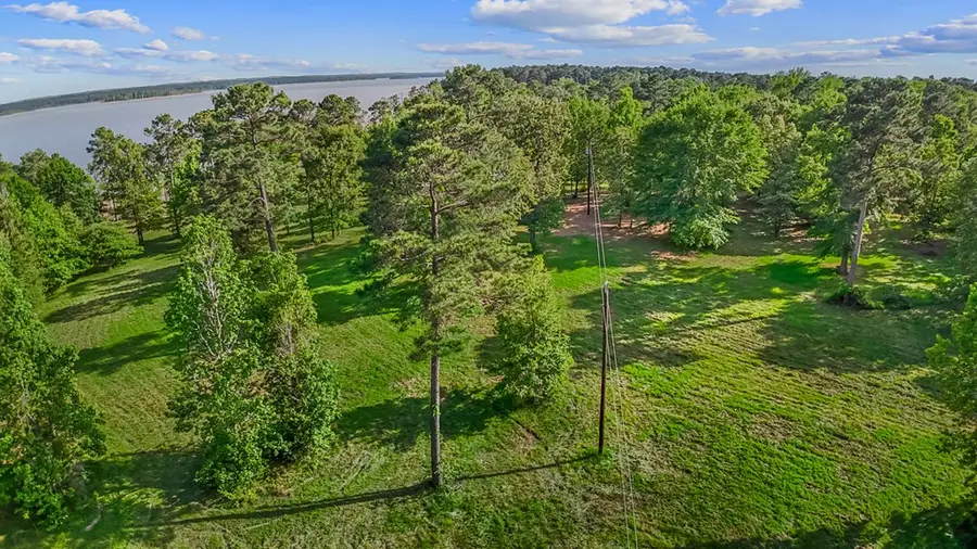 7807 County Road 447, Bronson, TX 75931 - #3
