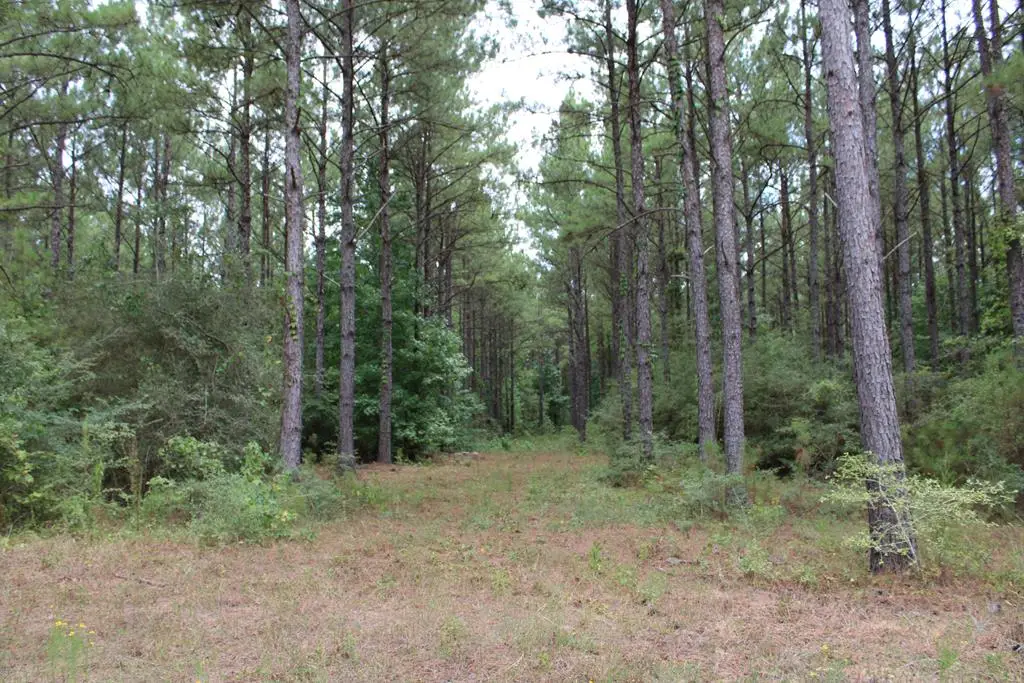 PID 69934 Duff Rd, Livingston, TX 77351 - #1