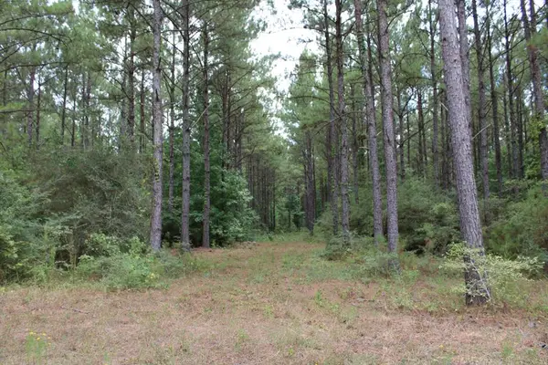 PID 69934 Duff Rd, Livingston, TX 77351