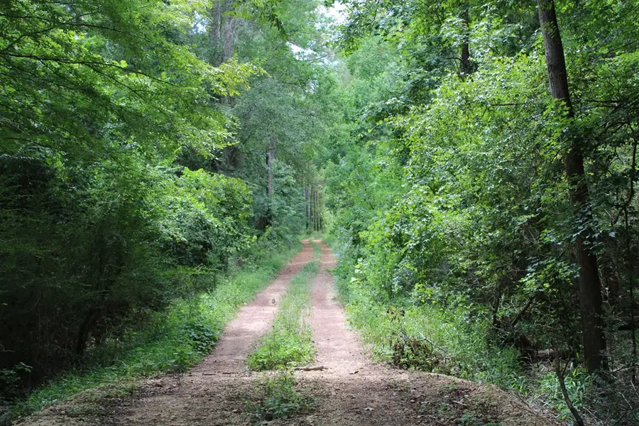 PID 69934 Duff Rd, Livingston, TX 77351 - #3