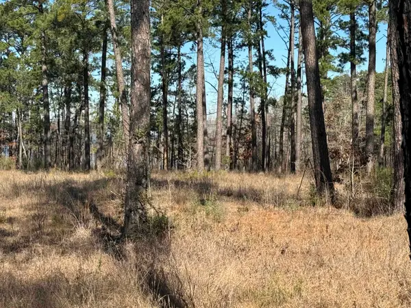 Lot 024 Pr 6028, Brookeland, TX 75931