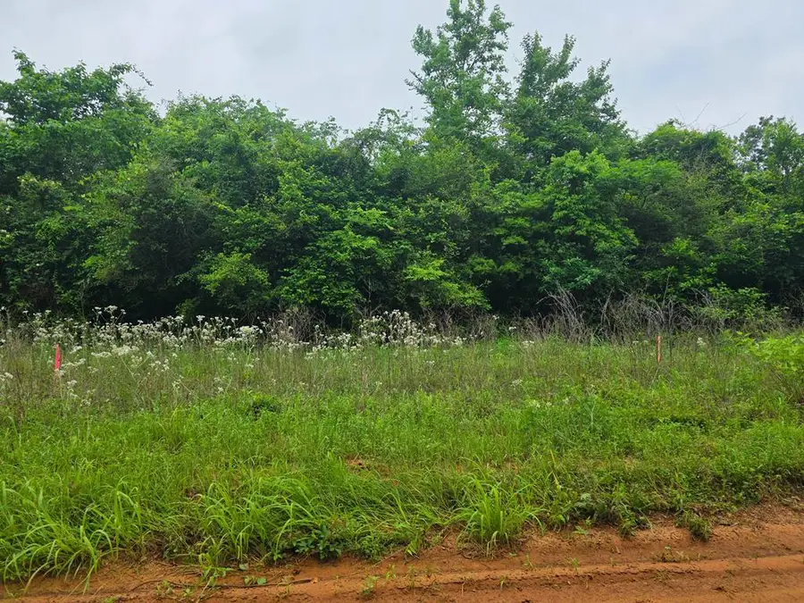 Lot 9 Cr 175, Garrison, TX 75946 - #2