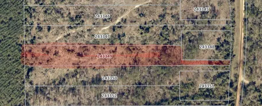 Lot 9 Cr 175, Garrison, TX 75946 - #3