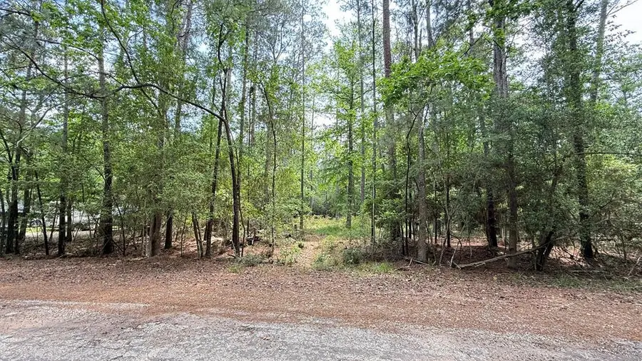 R033231 Dusky Lane, Brookeland, TX 75931 - #2