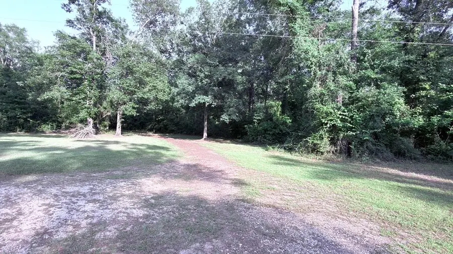 228 County Road 1060, Wiergate, TX 75977 - #3