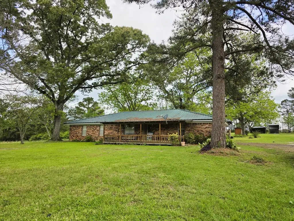 8081 Fm 256, Colmesneil, TX 75938 - #1