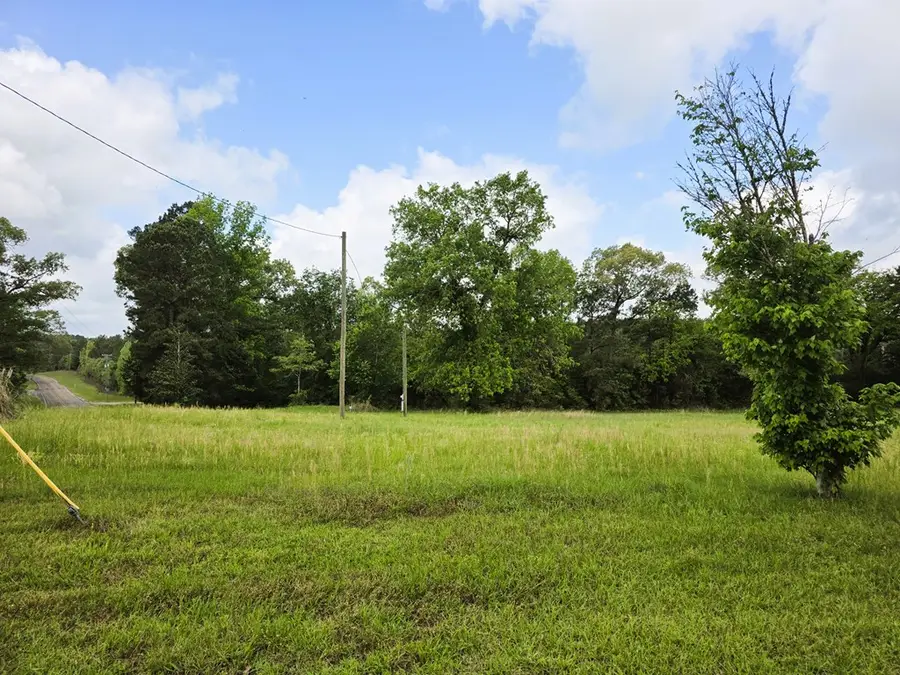 8081 Fm 256, Colmesneil, TX 75938 - #2