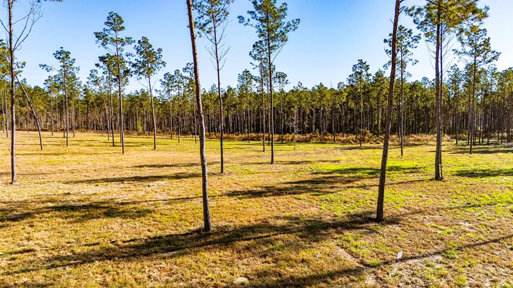 Lot 19 Big Buck Drive, Moscow, TX 75960 - #1