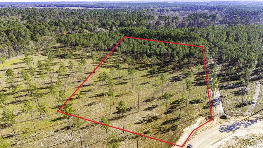 Lot 19 Big Buck Drive, Moscow, TX 75960 - #2