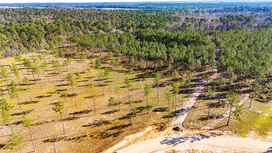 Lot 19 Big Buck Drive, Moscow, TX 75960 - #3