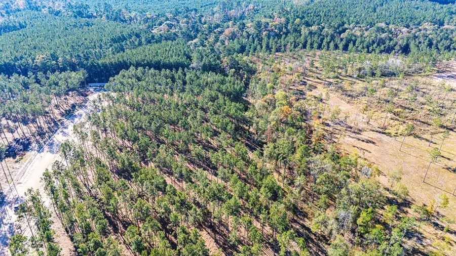 Lot 12 Big Buck Drive, Moscow, TX 75960 - #3