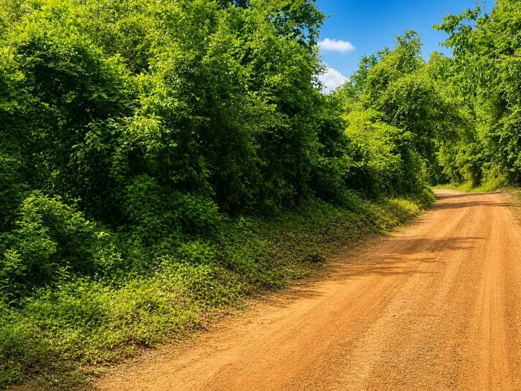 Lot 10 Cr 175, Garrison, TX 75946 - #1