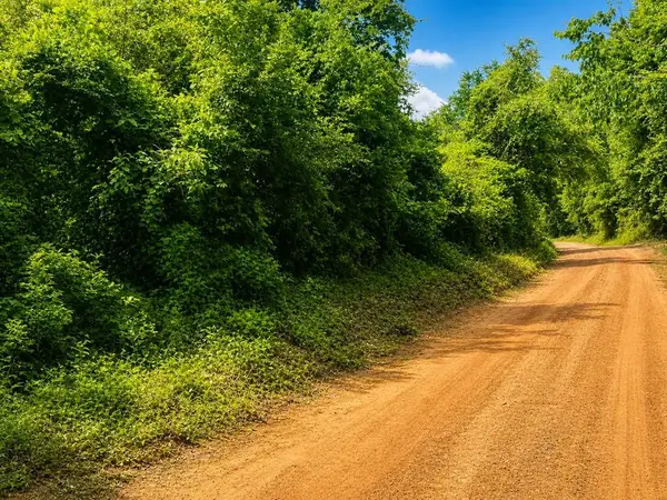Lot 10 Cr 175, GARRISON, TX 75946