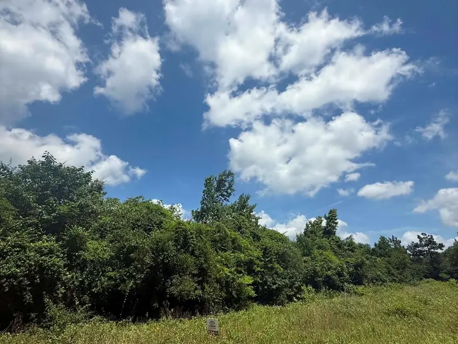 Lot 10 Cr 175, Garrison, TX 75946 - #3