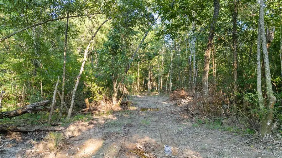 11275 Fm 2626, Bon Wier, TX 75928 - #3