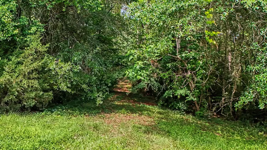 TBD Mount Carmel Rd, Lufkin, TX 75904 - #2