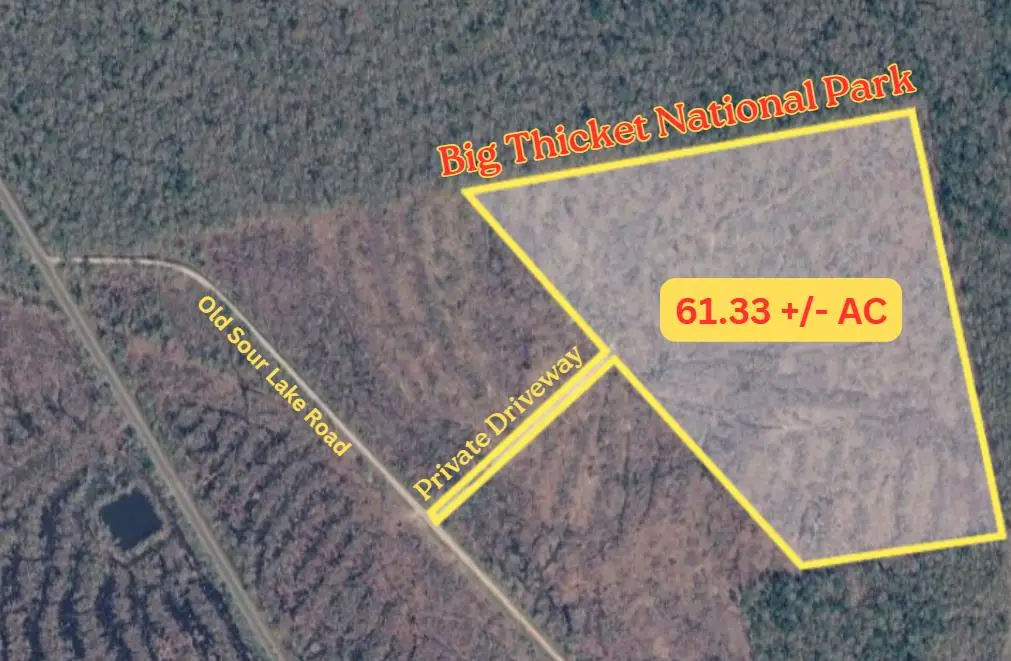 61.33 AC +/- Old Sour Lake Road, Sour Lake, TX 77659 - #1