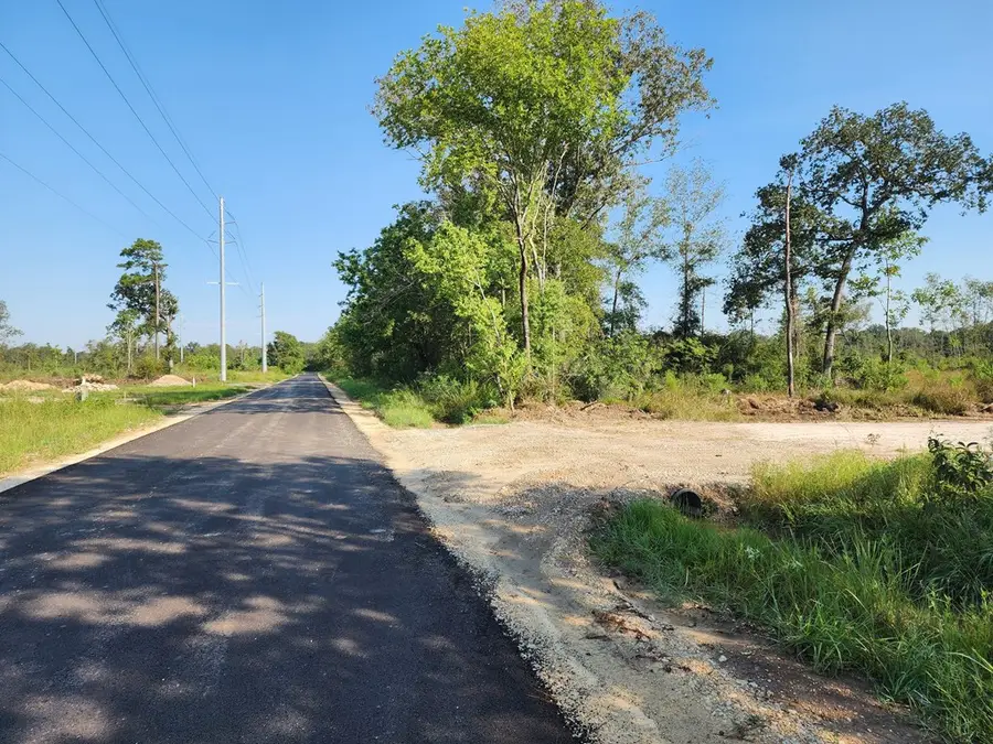 61.33 AC +/- Old Sour Lake Road, Sour Lake, TX 77659 - #2