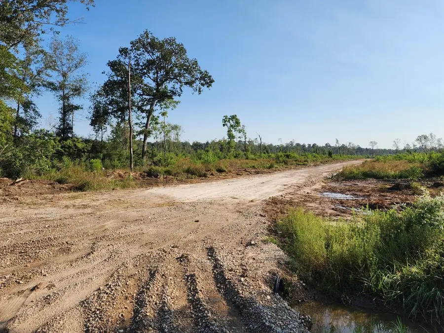 61.33 AC +/- Old Sour Lake Road, Sour Lake, TX 77659 - #3